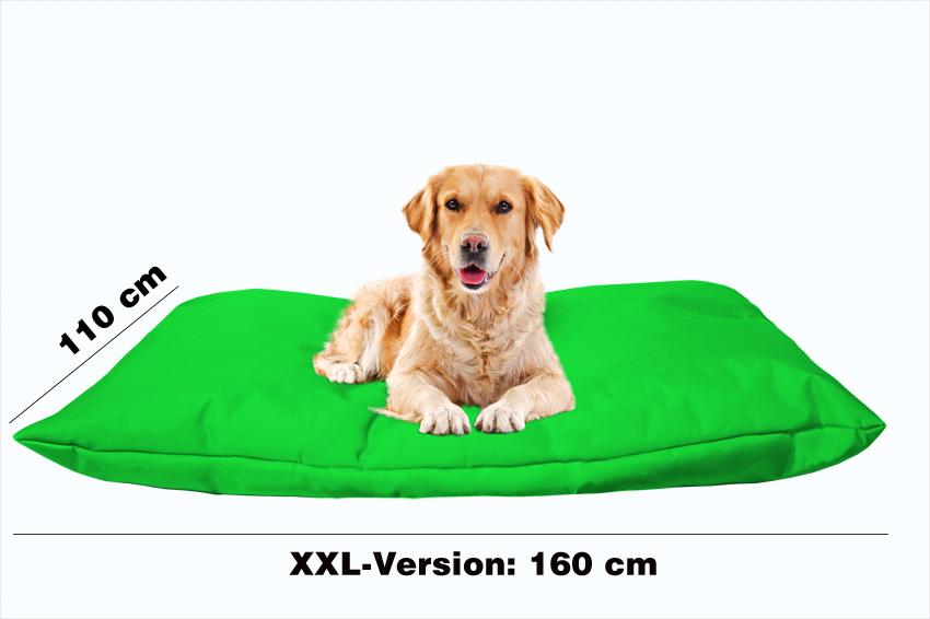 Hundebett mit Hundekissen in der Farbe Grün