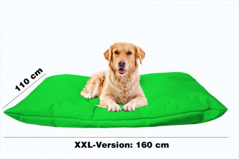 Hundekissen in der Farbe Grün XXL